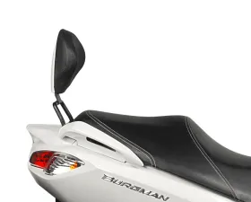 Shad Kit Backrest Suzuki Burgman 125 2007-2021