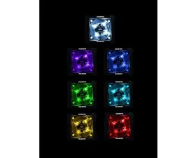 North Lights 3