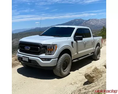 Camburg Billet UCA King 2.5 Performance Kit w/ Adj Ford F-150 2wd 2021-2024 - CAM-110222-K