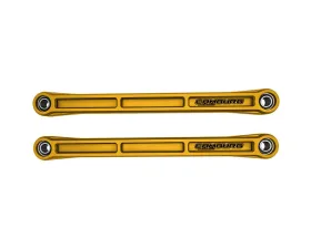 Camburg Engineering Gold Kinetik Series Suspension Trailing Arm Kit Ford Bronco 2021-2024