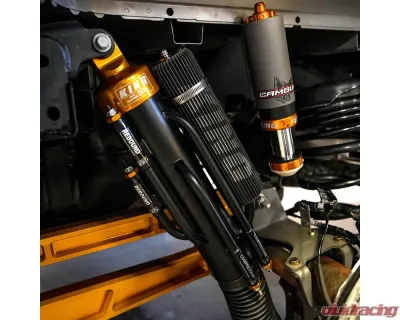 Camburg Engineering Gold Kinetik Series Suspension Trailing Arm Kit Ford F-150 Raptor 2021-2023 - CAM-120033-GLD