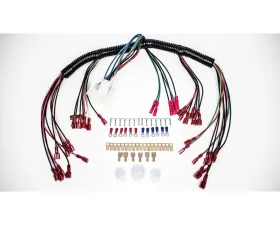 Intellitronix 10 Circuit Gauge Wire Harness Universal