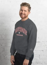 Valvetronic Designs Varsity Style Sweatshirt                                     - 9424877_10839 - Image 4