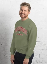 Valvetronic Designs Varsity Style Sweatshirt - Classic Fit, Pre-Shrunk, 50% Cotton/50% Polyester                                     - 9424877_13008 - Image 4