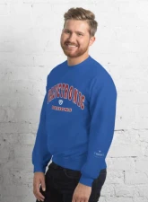 Valvetronic Designs Varsity Style Sweatshirt                                     - 9424877_16872 - Image 4
