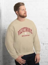 Valvetronic Designs Varsity Style Sweatshirt                                     - 9424877_16881 - Image 3