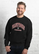 Valvetronic Designs Varsity Style Sweatshirt                                     - 9424877_5440 - Image 6