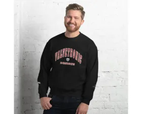 Valvetronic Designs Varsity Style Sweatshirt