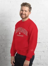 Valvetronic Designs Varsity Style Sweatshirt - Classic Fit, Pre-Shrunk, 50/50 Cotton-Polyester                                     - 9424877_5447 - Image 4