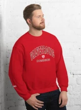 Valvetronic Designs Varsity Style Sweatshirt                                     - 9424877_5448 - Image 3