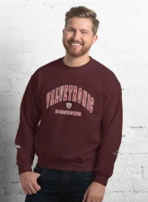 Valvetronic Designs Varsity Style Sweatshirt                                     - 9424877_5490 - Image 4