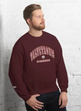 Valvetronic Designs Varsity Style Sweatshirt                                     - 9424877_5490 - Image 3