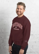 Valvetronic Designs Varsity Style Sweatshirt                                     - 9424877_5490 - Image 4
