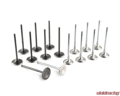 Tomei 4B11 Racing Valve Set for Mitsubishi Lancer Evolution X 2008-2015, Steel Construction - TA303A-MT02A