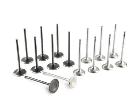 Tomei EJ  Racing Valve Set