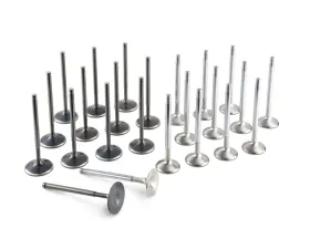 Tomei 2JZ-GTE Engine Racing Valve Set TA303A-TY03A for Toyota Supra 1993-2002