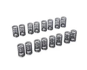 Tomei 4G63 Valve Springs Mitsubishi EVO1-9 4G63 1992-2007