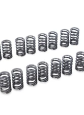 Tomei 4G63 Valve Springs Mitsubishi EVO1-9 4G63 1992-2007                                     - TA304A-MT01A - Image 2