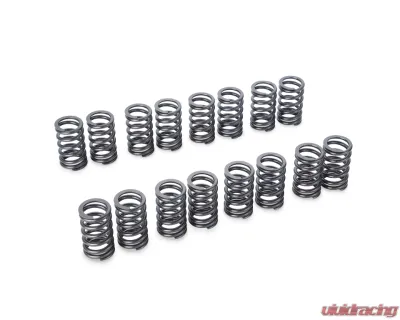 Tomei 4G63 Valve Springs Mitsubishi EVO1-9 4G63 1992-2007 - TA304A-MT01A