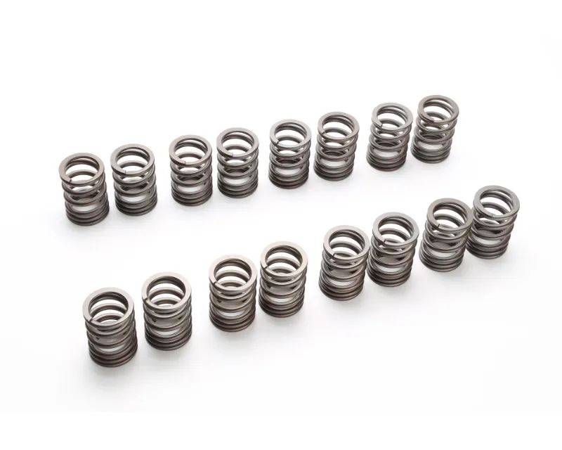 Tomei 4B11 Valve Springs Set - TA304A-MT02A