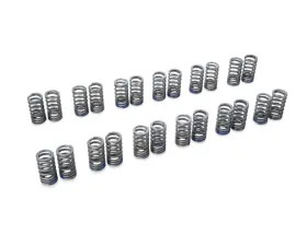 Tomei 11mm Lift Procam Valve Spring TA304A-NS02A for Nissan SR20DET Engine