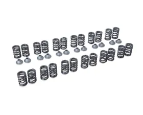 Tomei 10.25mm Type B Valve Springs for TA304A-NS06B - High-Performance Engine Upgrade
