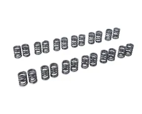 Tomei Valve Springs for RB20DET VG30DETT 10.35mm Size, High-Performance Material