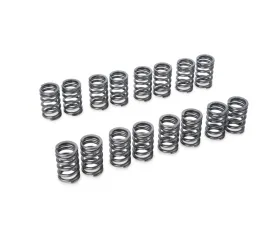Tomei 12.5mm SR20DET Valve Springs for Nissan 240SX, Silvia, 1995-1998, High Performance
