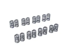Tomei 11.0mm High Lift Valve Springs Set