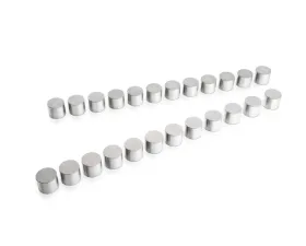 Tomei +1.0mm Height Valve Lifter Set TA307A-NS05A for Nissan 240SX/SR20DET