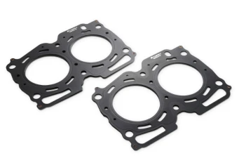 Gaskets & Seals