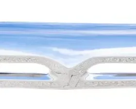 AMD Chrome Grille with Bracket Ford F100 | F250 1956