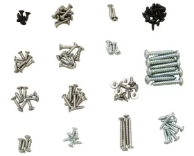 AMD Interior Trim Screw Set Dodge Charger 1969-1970