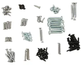 AMD Interior Trim Screw Set Dodge | Plymouth Hardtop 1969-1970