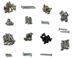 AMD Interior Trim Screw Set Plymouth Road Runner 1971-1974