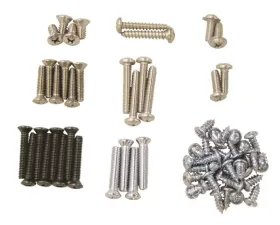 AMD Exterior Trim Screw Set Dodge Challenger 1970-1974