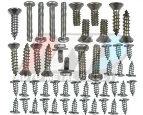 AMD Exterior Trim Screw Set Dodge Charger 1968-1970