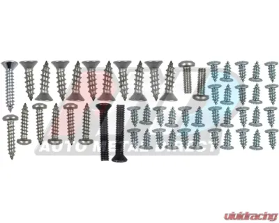 AMD Exterior Trim Screw Set Plymouth Belvedere 1967 - A-271240