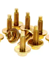 AMD Hood Bolt Kit Dodge | Plymouth E-Body 1970                                     - X312-1570-1S - Image 2