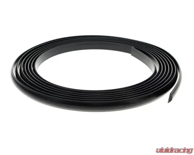 AMD Black Windshield Gasket Lockstrip Ford F-Series | Bronco 1977-1979 - X385-4577-B