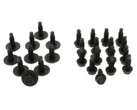 AMD Door Hinge Bolt Kit Dodge | Plymouth E-Body 1970-1974