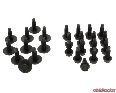 AMD Door Hinge Bolt Kit Dodge | Plymouth E-Body 1970-1974 - X521-1570-S