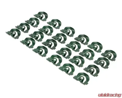 AMD Back Glass Molding Clip Set - 24pcs Chevrolet Chevy II 2DR Hardtop 1966-1967 - X671-3066-S