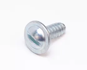 AMD License Plate Screw