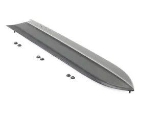AMD LH GT Style Hood Insert Ford Fairlane 1967