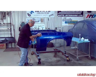 AMD CHP2 After Paint, Standing For Success Instructional DVD - CHP-2