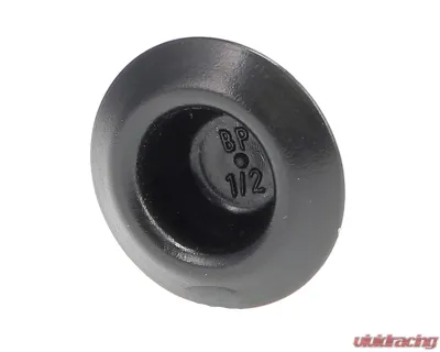 AMD 1/2" Depressed Center Plastic Body Plug - F-P12