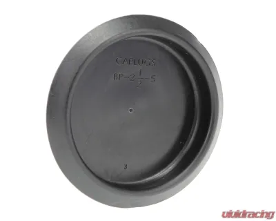 AMD 2-1/2" Depressed Center Plastic Body Plug - F-P212