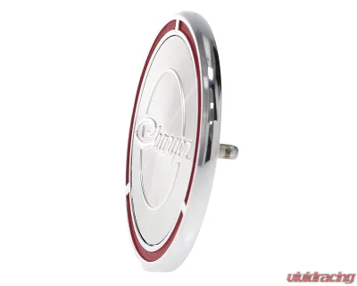 AMD LH/RH "Charger" Upper Door Pad Emblem Dodge Charger 1968-1969 - T-MP5610