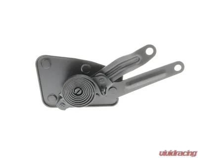 AMD LH Hood Hinge w/ Spring Ford F-Series Pickup Truck 1956 - X310-4556-L